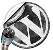 wordpress plugins