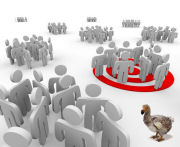 traffic generation dodo bird
