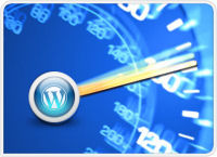 fast wordpress site