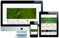 mobile wordpress themes