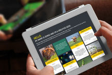 blog optimize for mobile