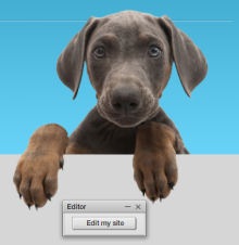 webeden website builder