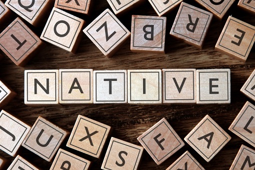 native-advertising