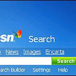 MSN The Ultimate SEO Training Ground