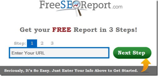 free seo report