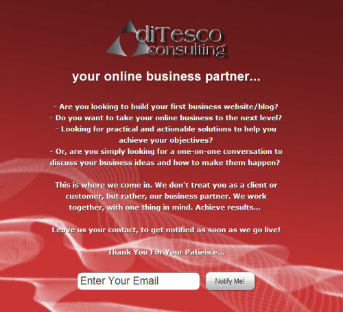 ditesco consulting