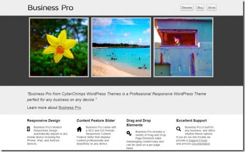 Business PRO Responsive Theme