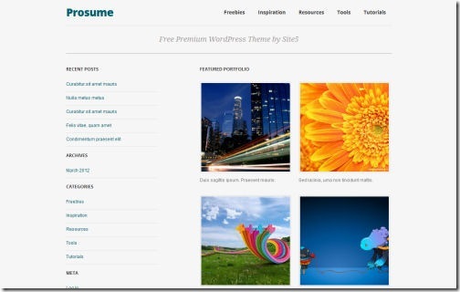 Prosume Responsive Themes