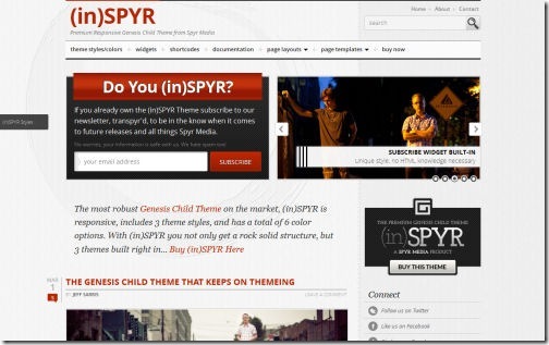 (in)SPYR Responsive Theme