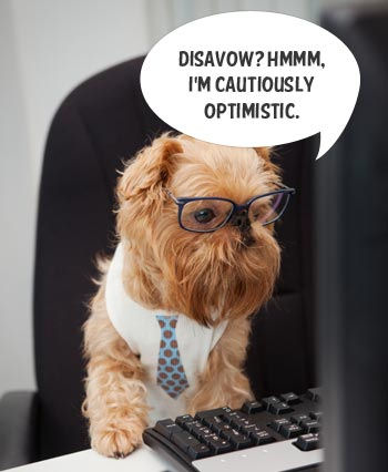 disavow tool