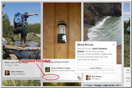Pinterest promoted pins