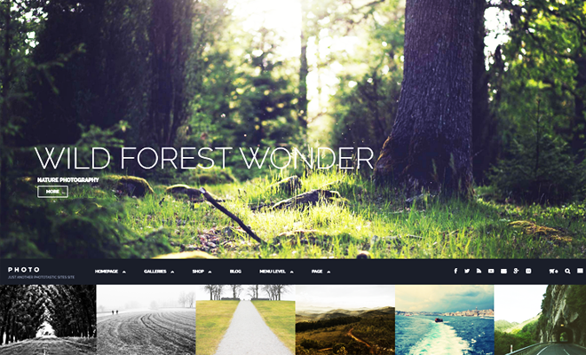 Phototastic WordPress Theme