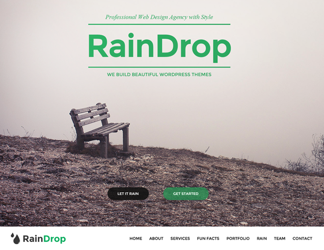 RainDrop WordPress Theme